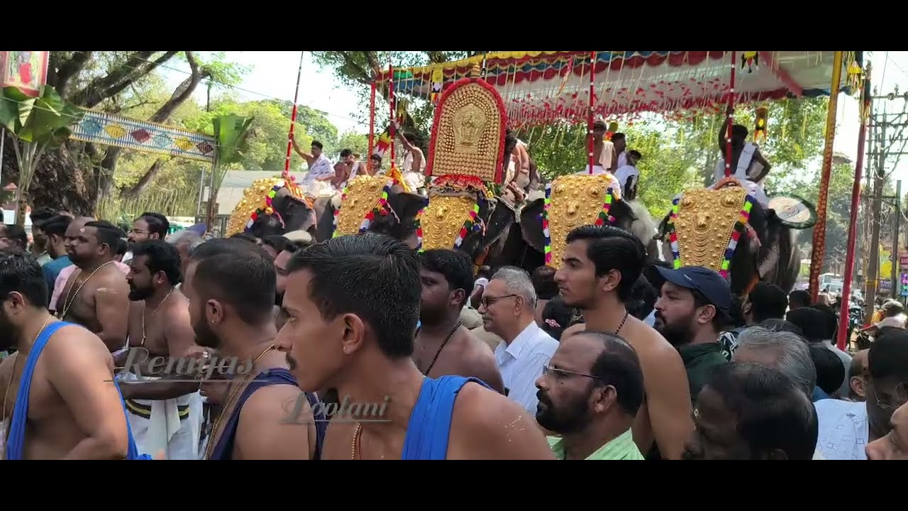 കൊടുങ്ങല്ലൂർ താലപ്പൊലി മഹോത്സവം 2026#viral #kodungallurbharani #trending #video #viralvideo #kerala 