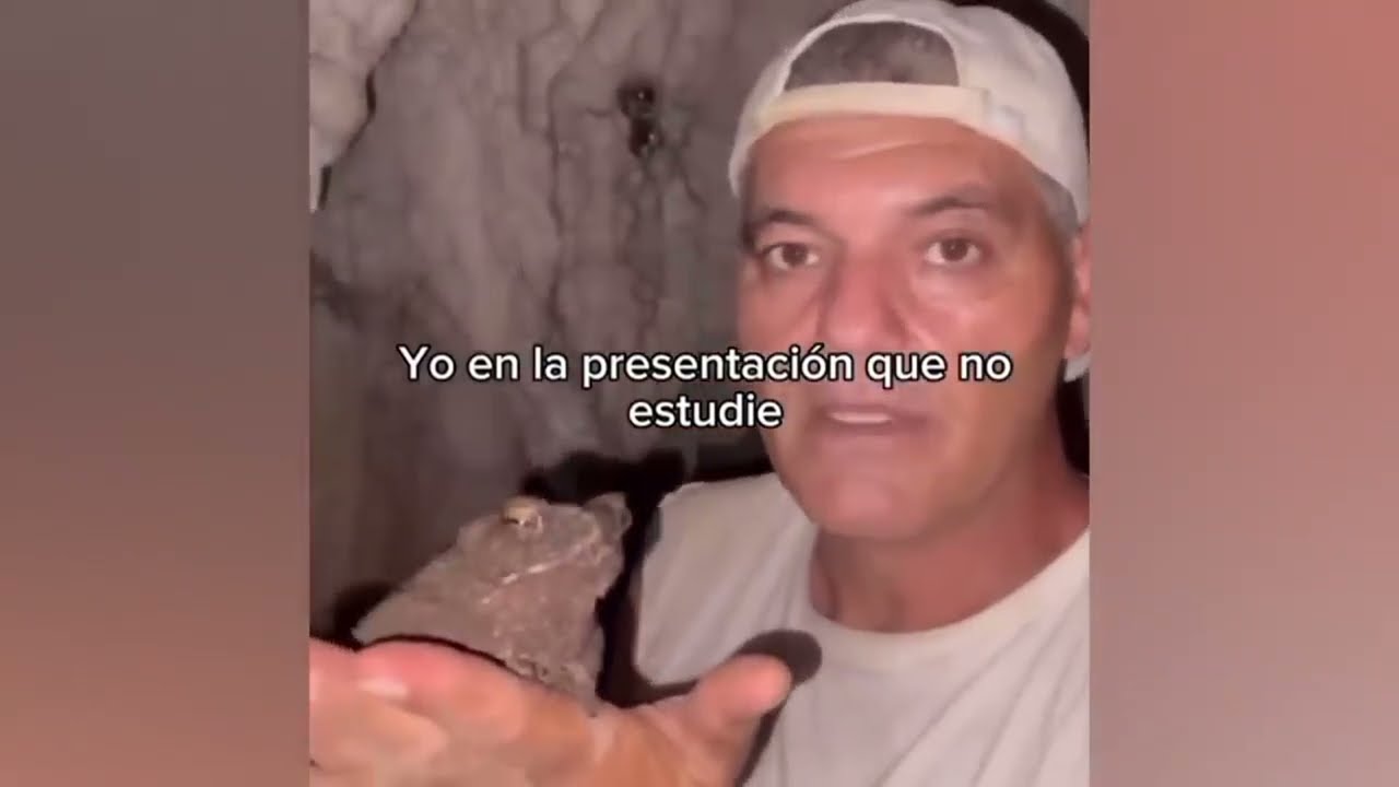 LOS MEMES DE LA SEMANA #67