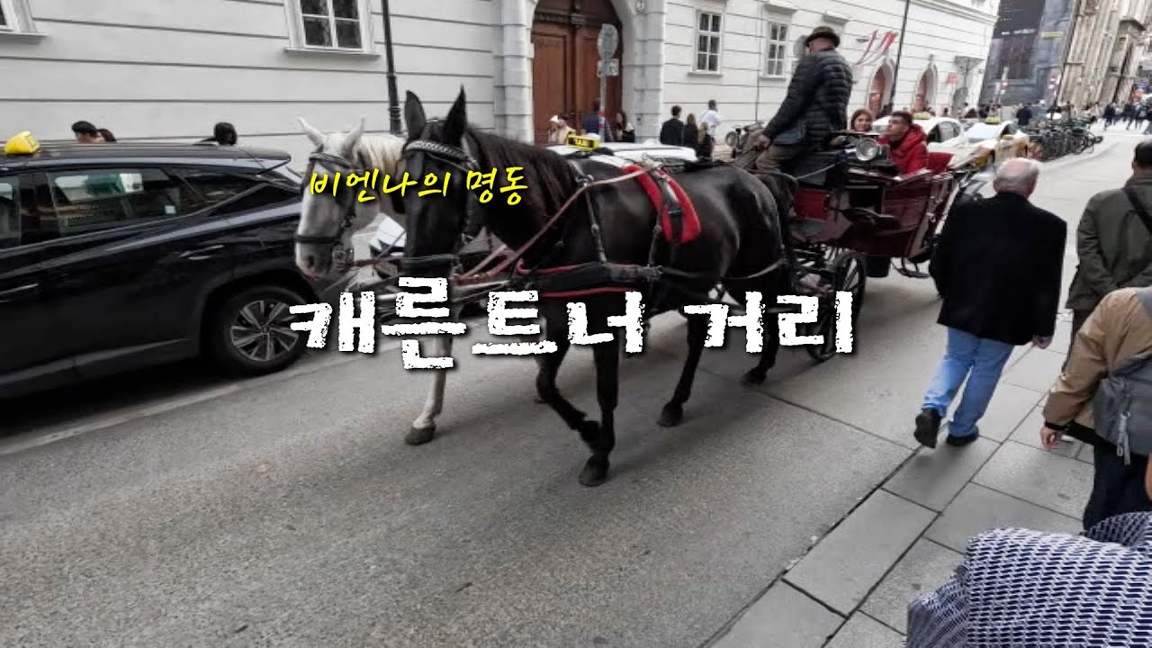 비엔나에서 즐기는 감성 커피 & 왈츠 무도회 with CLOVA Dubbing
