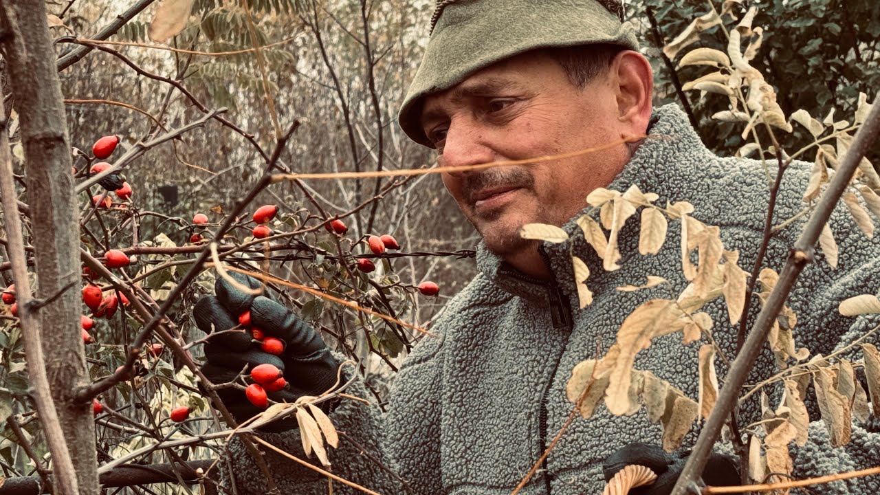 Anyós - Só konyhája (Csipkebogyó tea & pirítós 🍇🍞 🍁🍁🍂