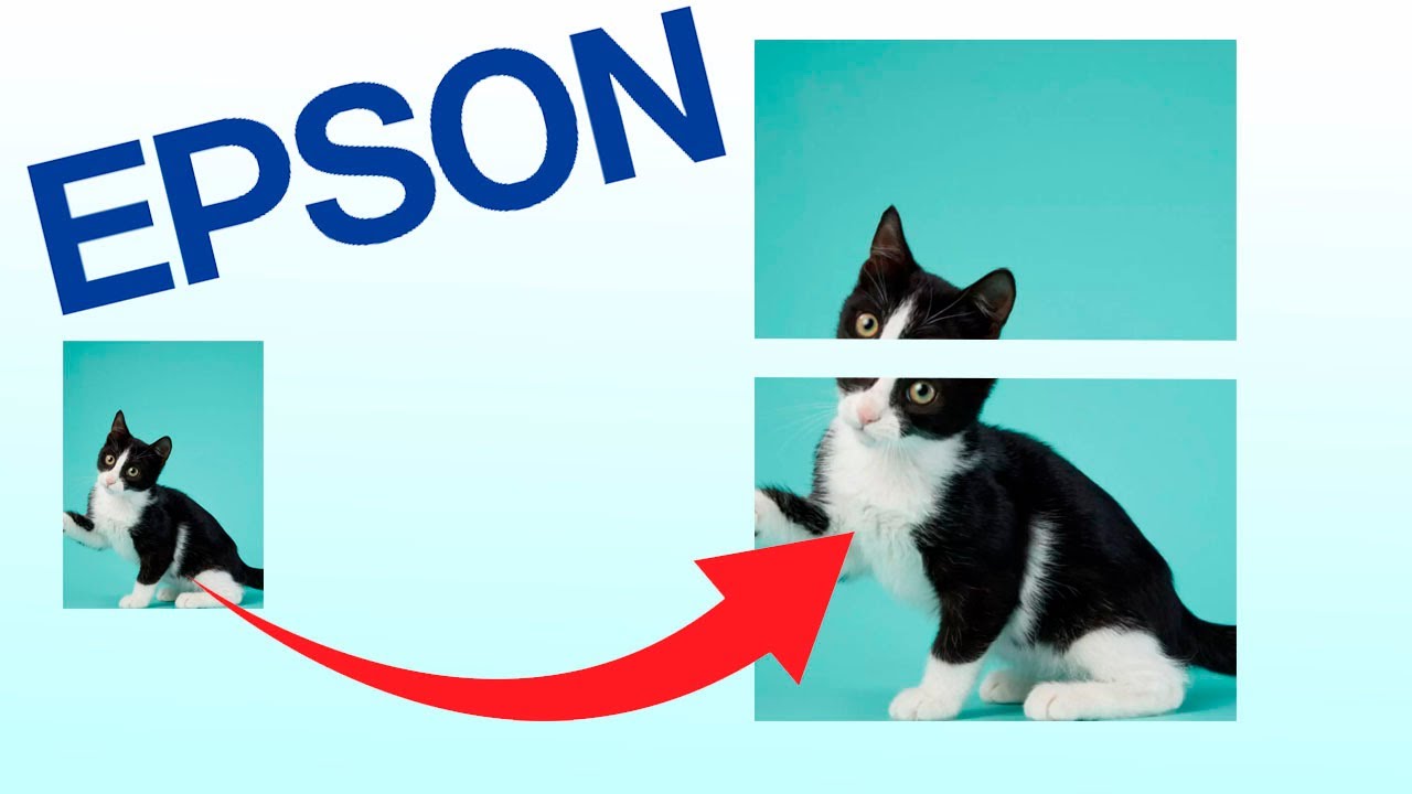 Como dividir uma imagem em v&aacute;rias folhas A4 na impressora Epson L3150 e outros modelos
