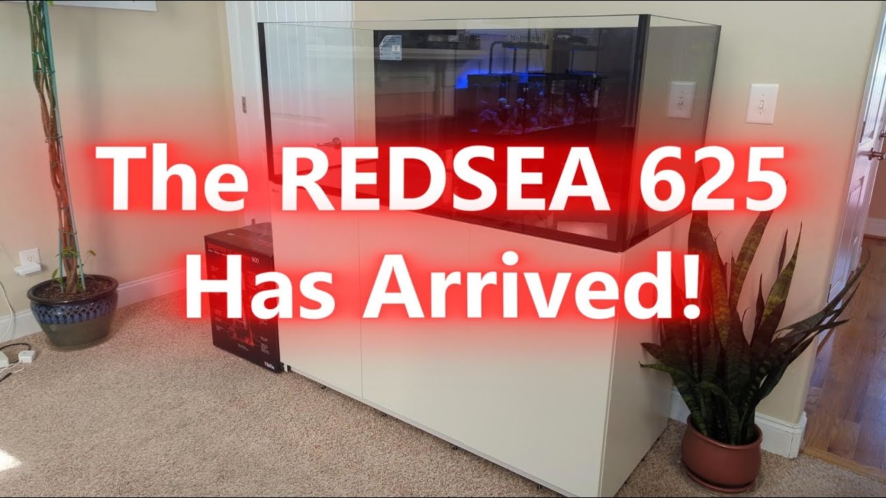 The RedSea 625 G2+ Has Finally Arrived!
