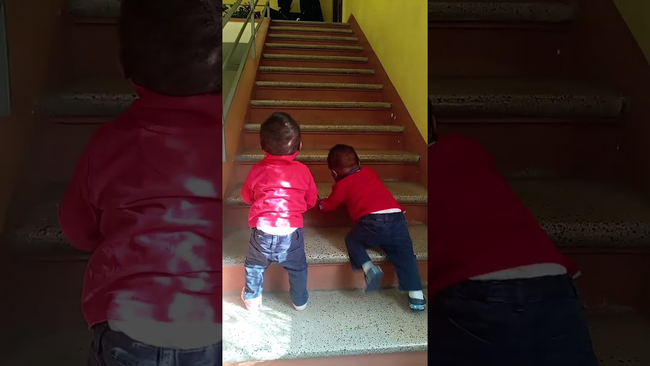How twin baby climb step for the first time#twinconnections#twinadventures#twinbabys#twinbrother