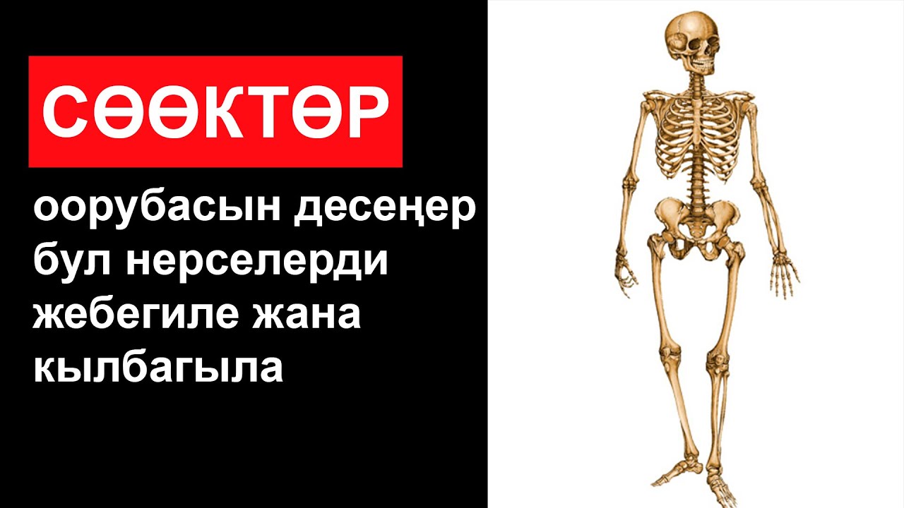 Биздин сөөктү эмнелер талкалайт? Биздин сөөктөрдү талкалаган адаттар.