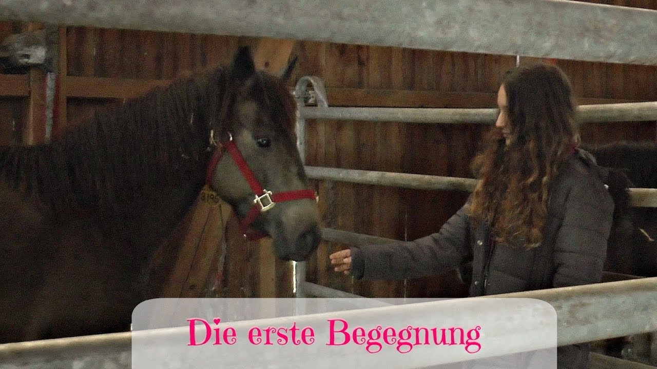 Wir holen unsere Mustangstute ab! ♥