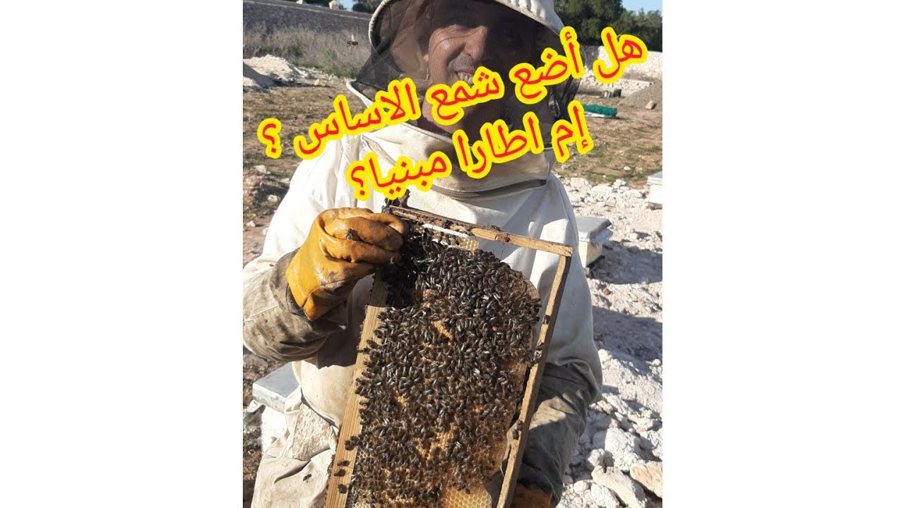 أين يجب وضع إطار شمع الاساس؟#اطار ممطوط#وهل اقبل النحل على العجينة البروتينية؟