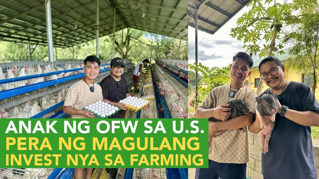 Padala ng Nanay sa U.S., Kita sa Fat Belly Pig at Layer Farming, Paano nya Pinapalago ang Pera?