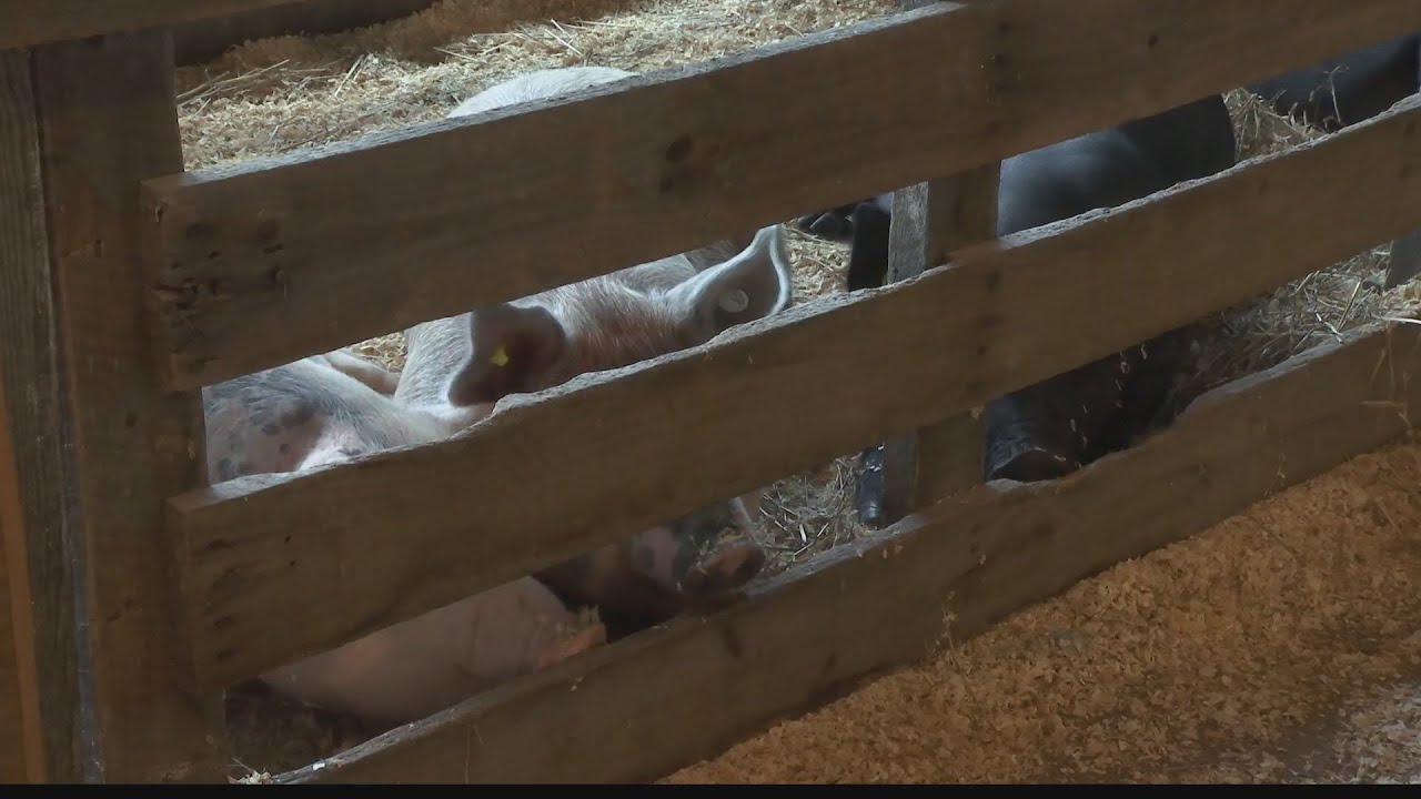 Clearfield County Fair brings father and son closer