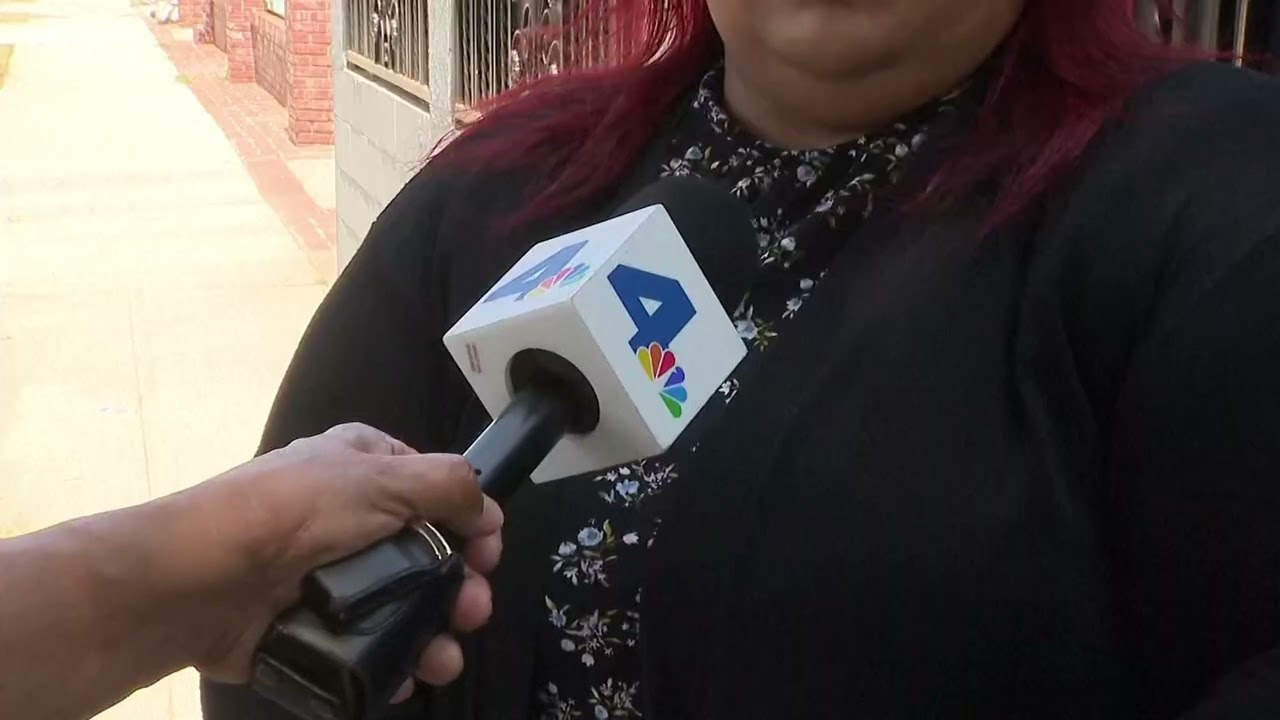 ICE mistakenly detains California 15-year-old