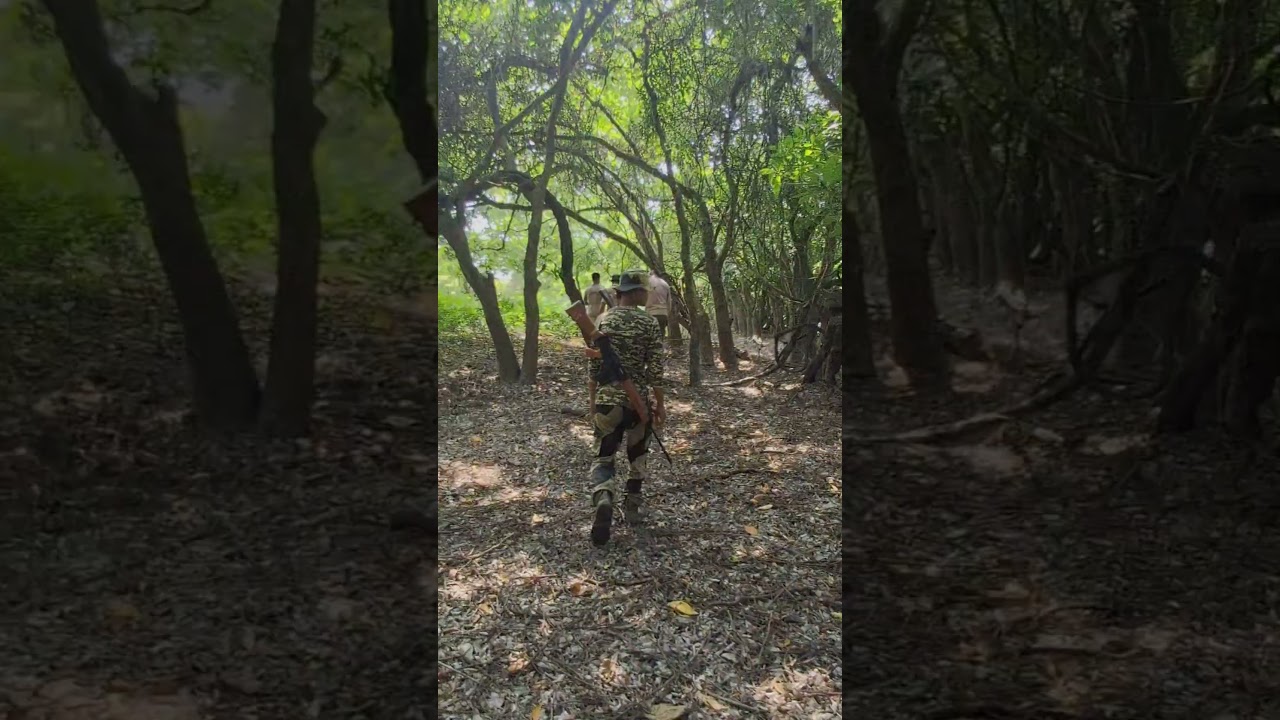 Assam Forest Duty #jungleadventure #assamforest #soldier #naturelover #duty #assam
