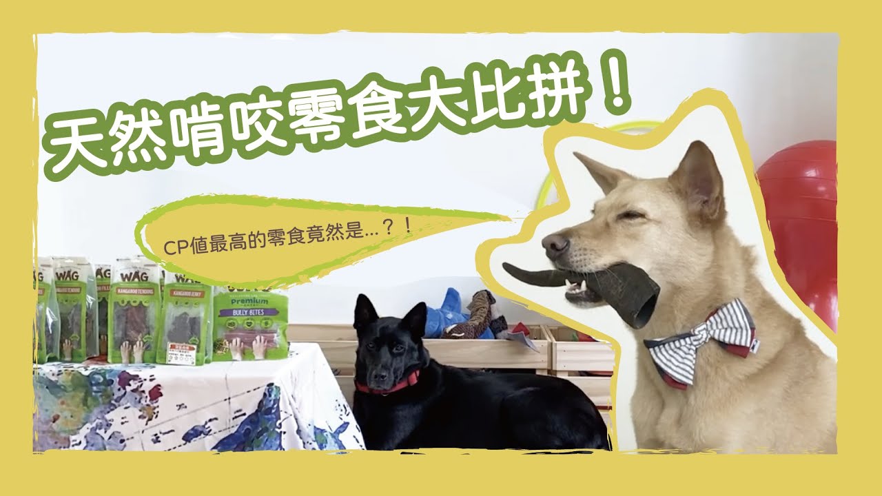 天然啃咬零食大比拼！這款零食可以讓狗狗安靜一整天？！