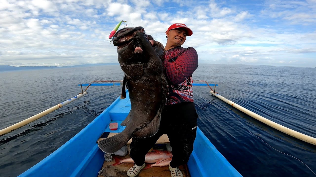 LUAR BIASA TARIKAN MONSTER GROUPER 30 KG