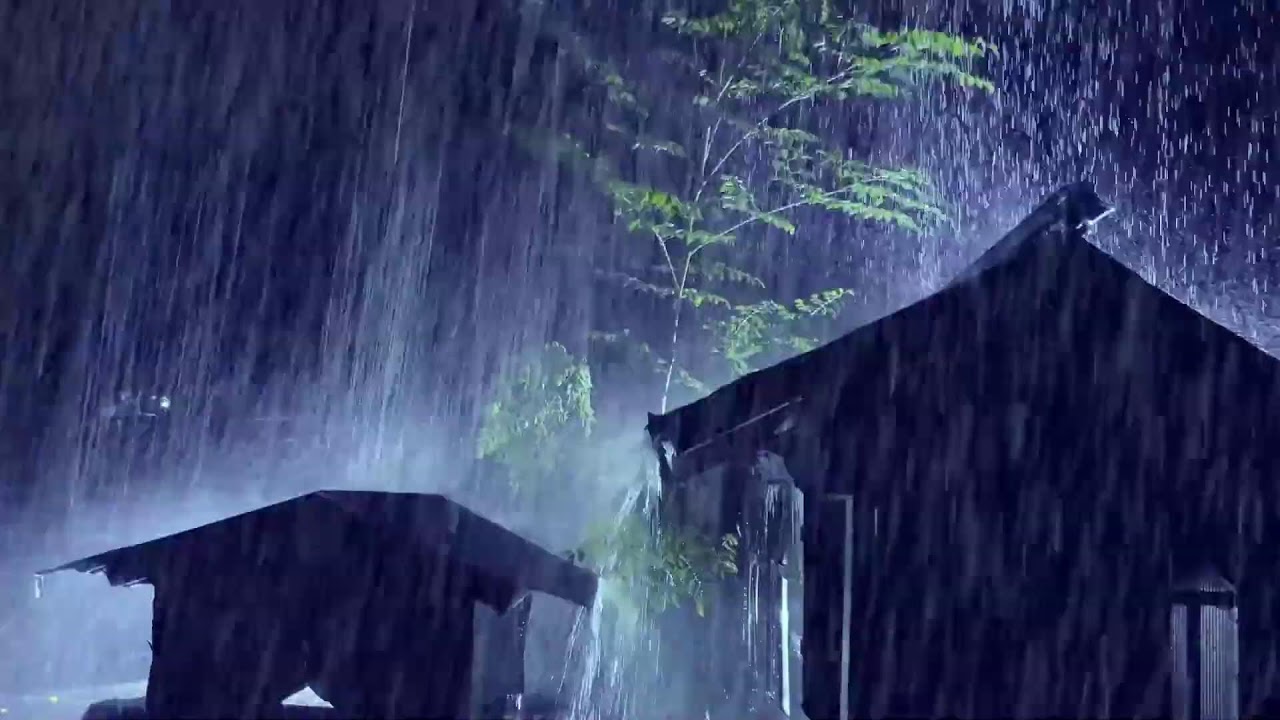 Heavy Rain and Thunder in Forest at Midnight