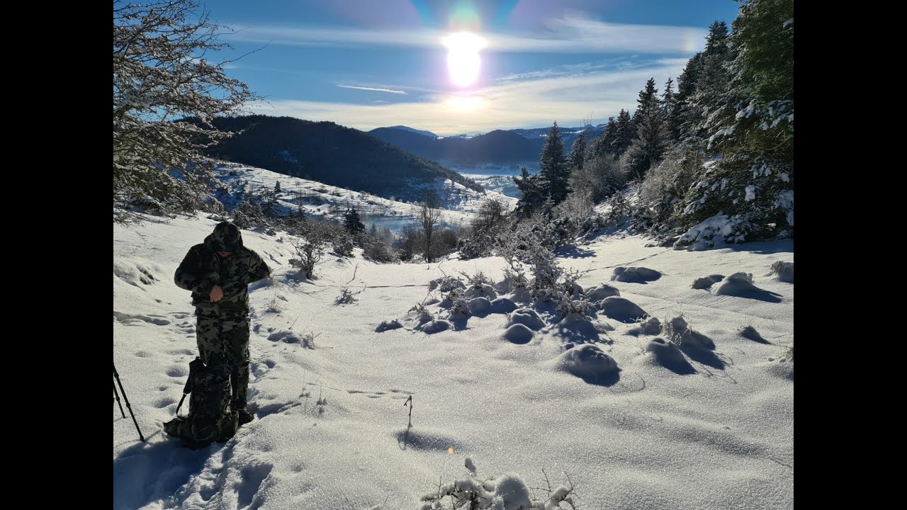 Chasse de l'isard dans les Pyr&eacute;n&eacute;es