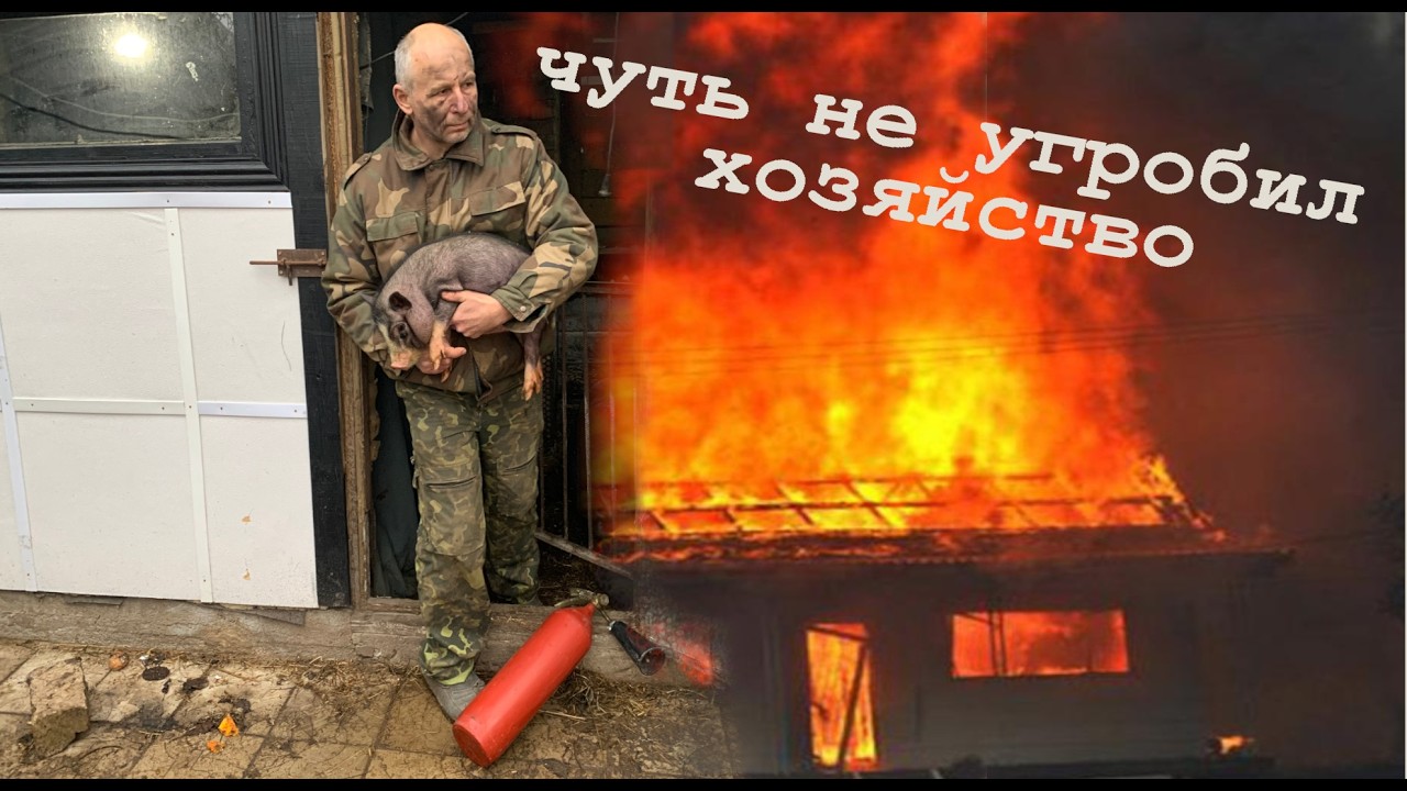 Пожар в сарае. Боль и разочарование : неудачный опорос...