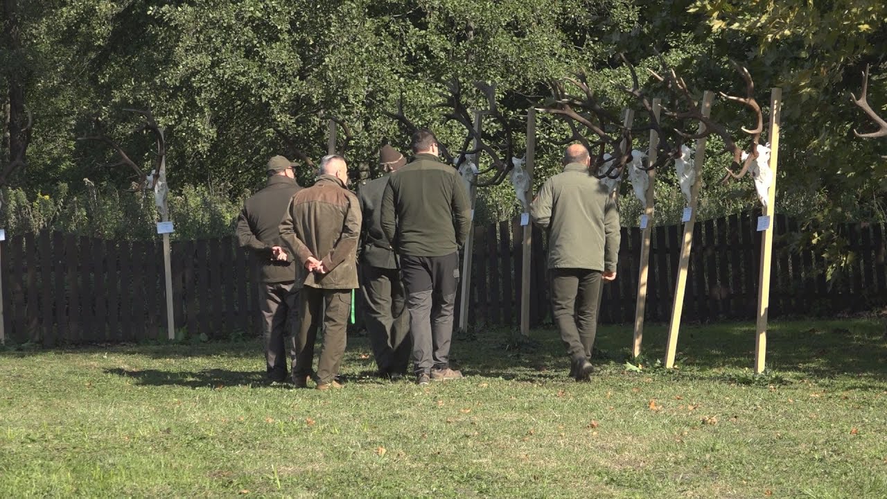 Trófeaszemle a Bakonyerdő Zrt.-nél