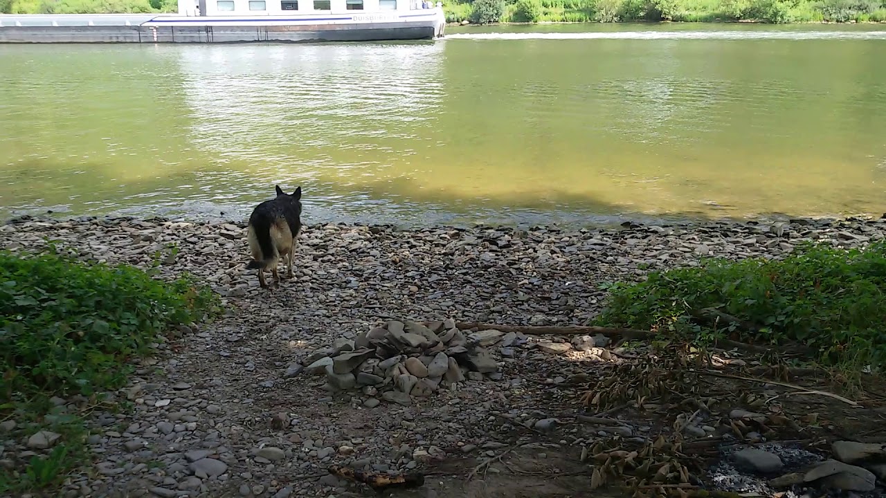 An der Mosel bei Moselkern
