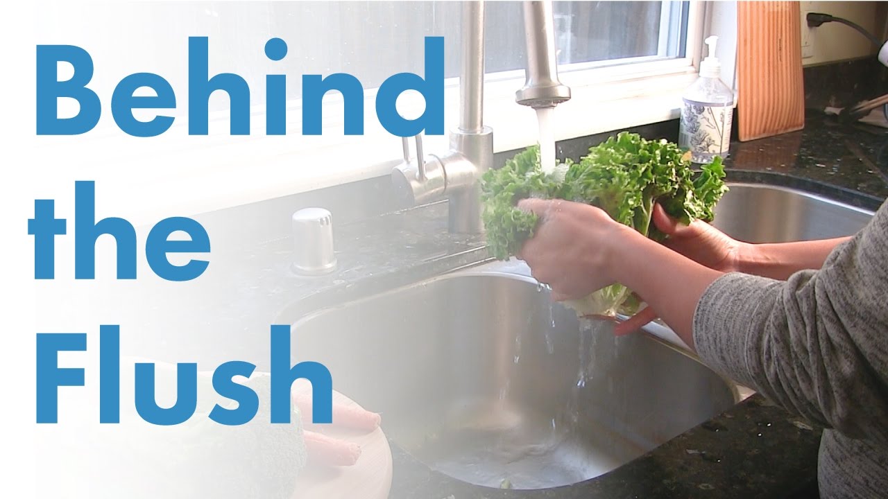 Behind the Flush: San Jos&eacute;-Santa Clara Regional Wastewater Facility - Summary