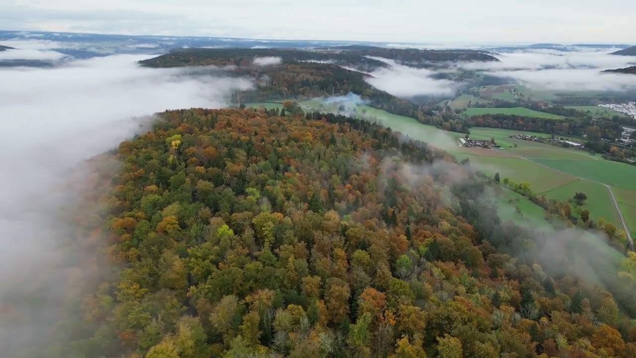 Nagold in herbstlichen Wolken