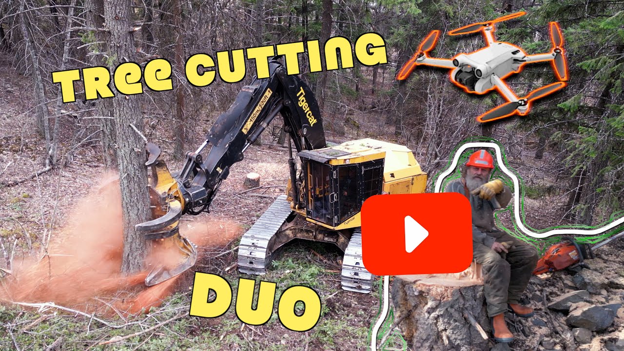 The BEST tree falling on YouTube - A Lifetime of Work in the Forest - The Logging Film Pt 2