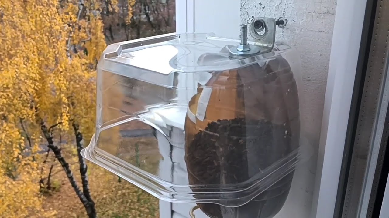 Кормушка только для синиц