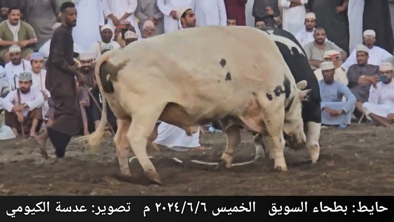 الحدث و هيمان ... حايط بطحاء السويق ١٥
