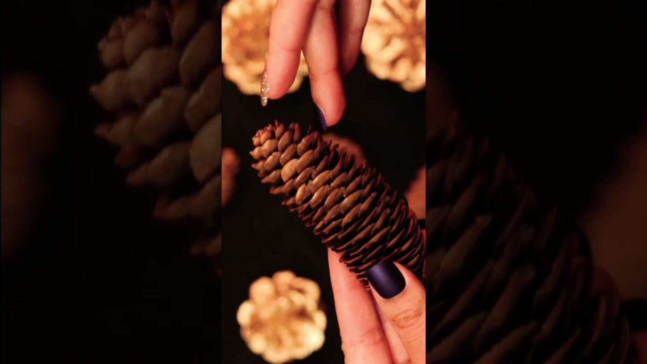 Pine cones make such relaxing noises🌲 #shorts #asmr #shortsasmr