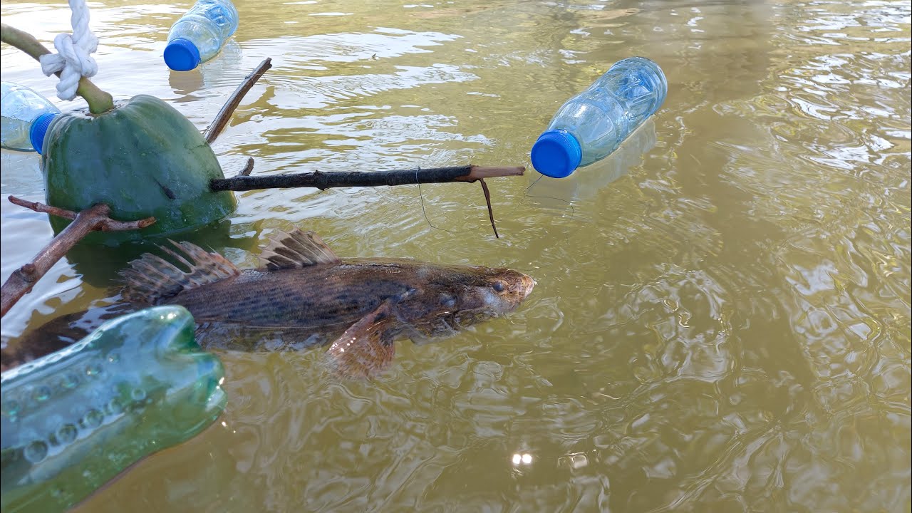 Amazing fishing techniques | fishing with sea crab meat and the unexpected ending...