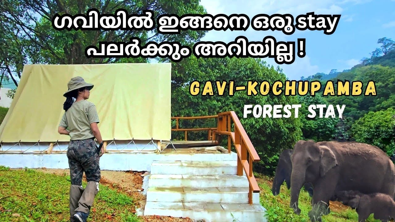 Gavi Forest | ഇത്ര അധികം വന്യമൃഗങ്ങളോ? | Tent Stay at Kochupamba | Boating Safari Trekking #travel