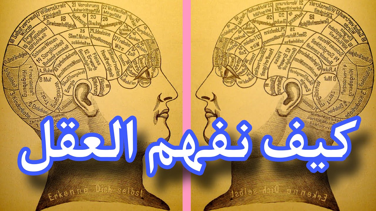 الحلقة/ ٤٦: ما هو مفهوم العقل