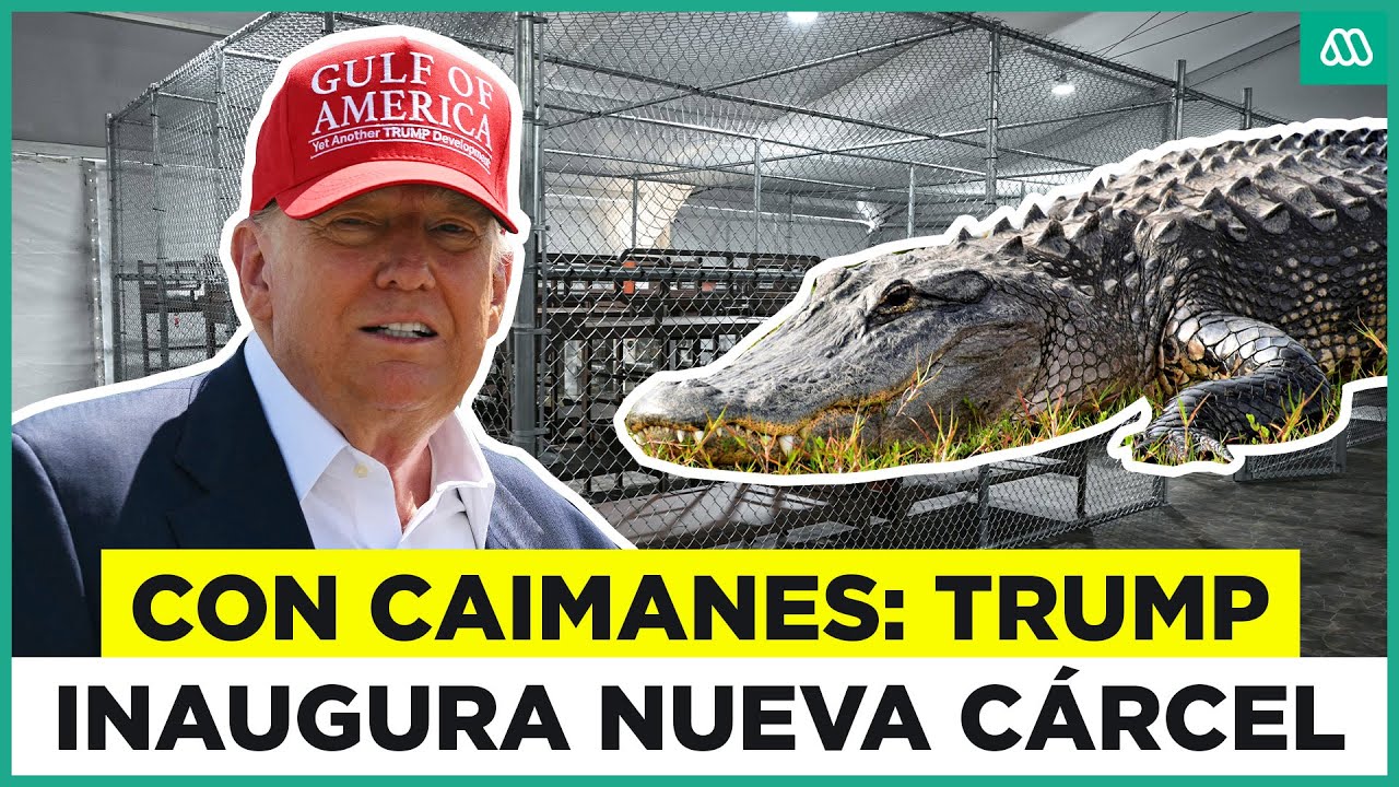 "Alligator Alcatraz": La nueva cárcel de Donald Trump que está rodeada de caimanes