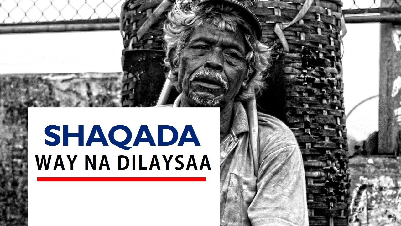SHAQADA | udhimashada mushaarka Dartii | #OGAANSHO