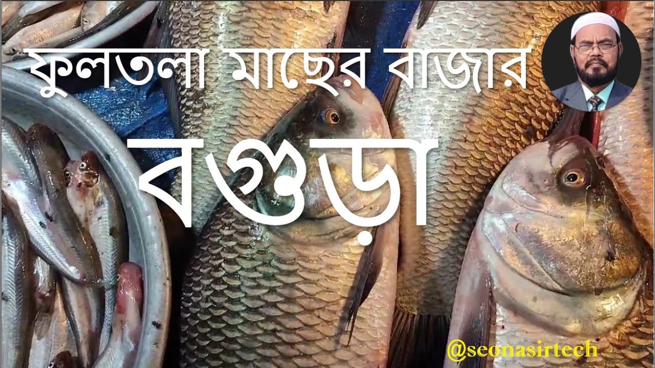 Fultola Fish Market প্রচুর মাছের আমদানী হয়েছে বাজারে