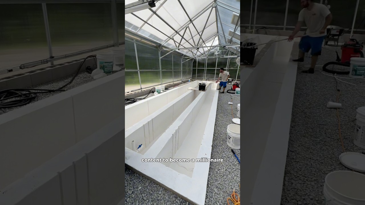 Milking my greenhouse AGAIN (day 3)