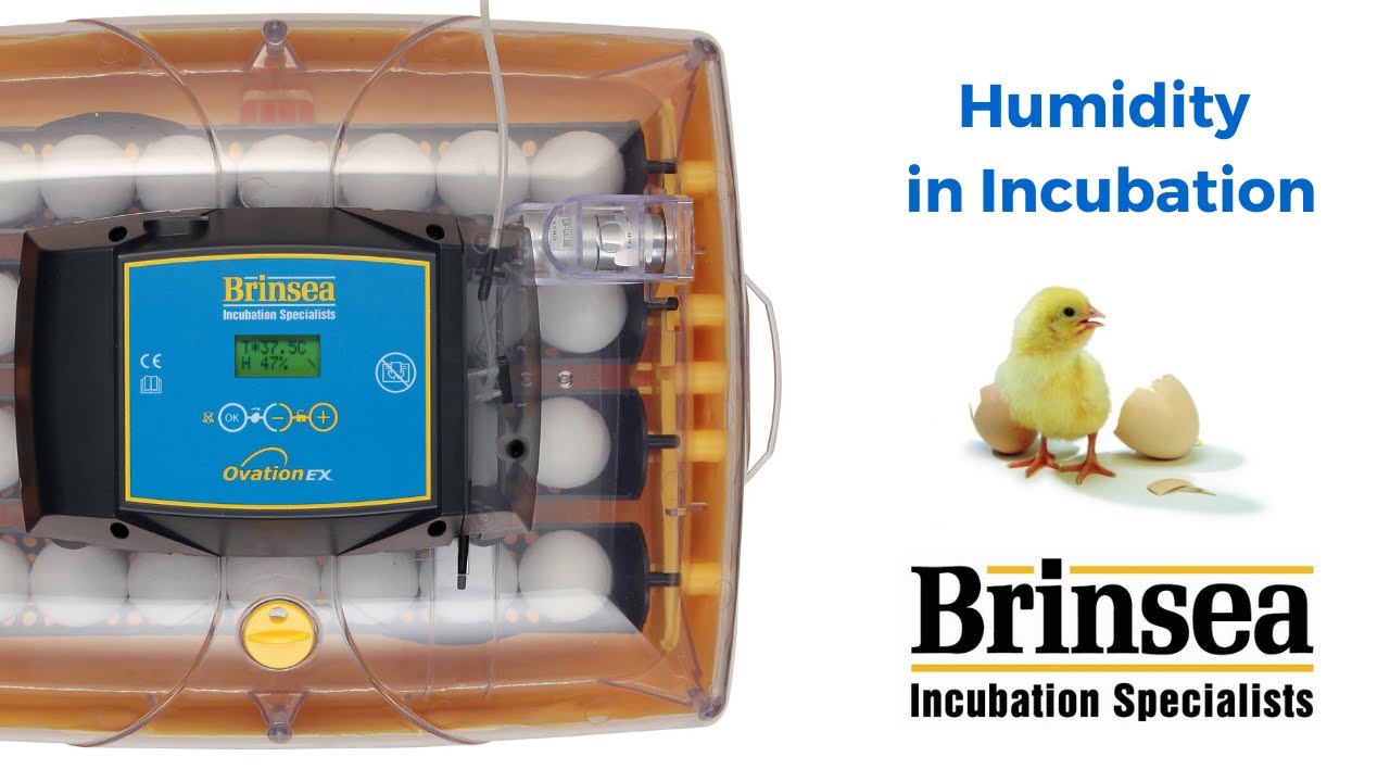 Brinsea Products Ltd - A Guide to Humidity in Incubation