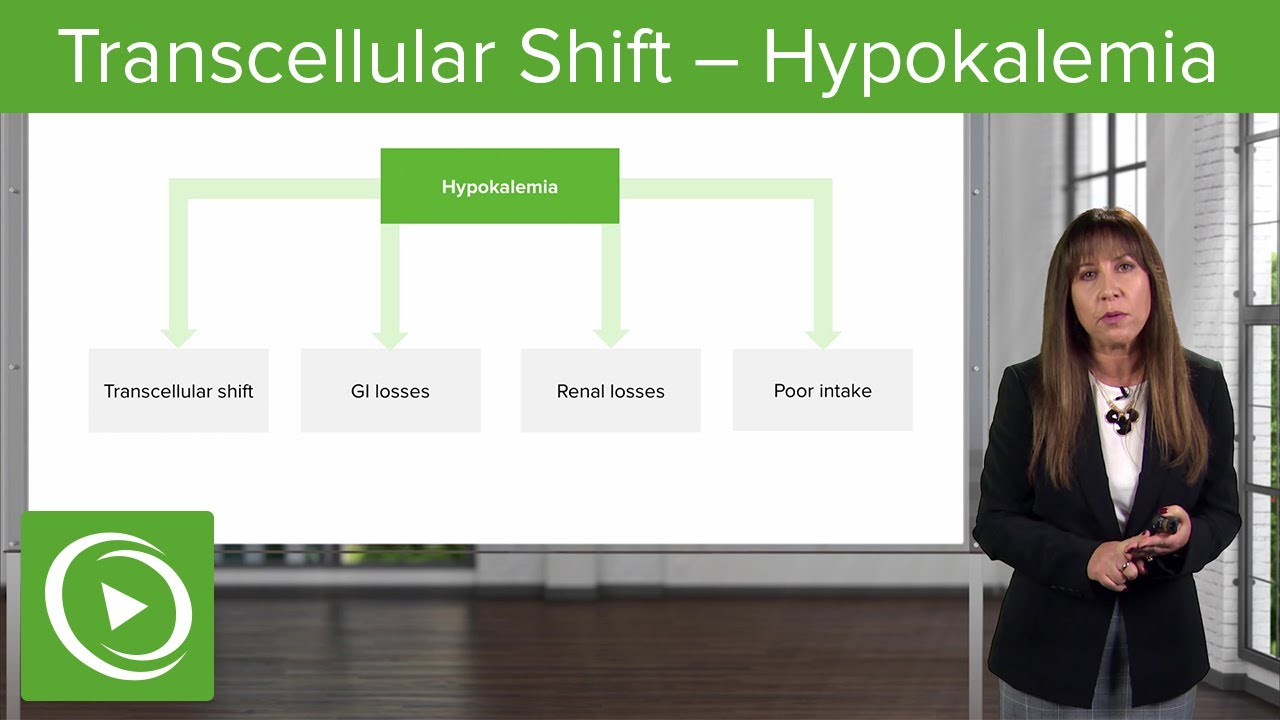 Transcellular Shift – Hypokalemia– Nephrology | Lecturio