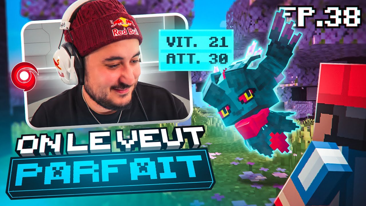 IL FAUT LE FLOTTE-MÈCHES PARFAIT !