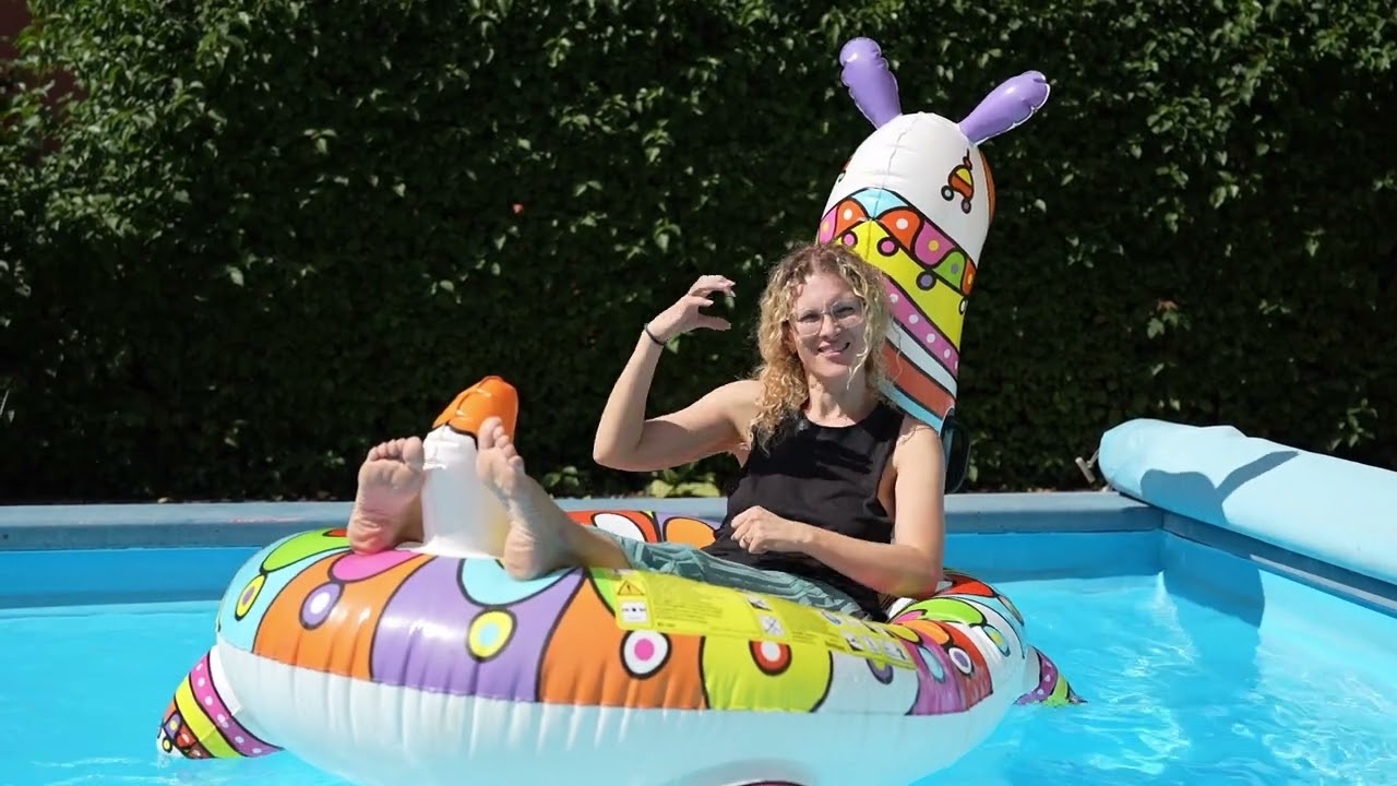 JETZT IST SOMMER von Wise Guys in Gebärdensprache