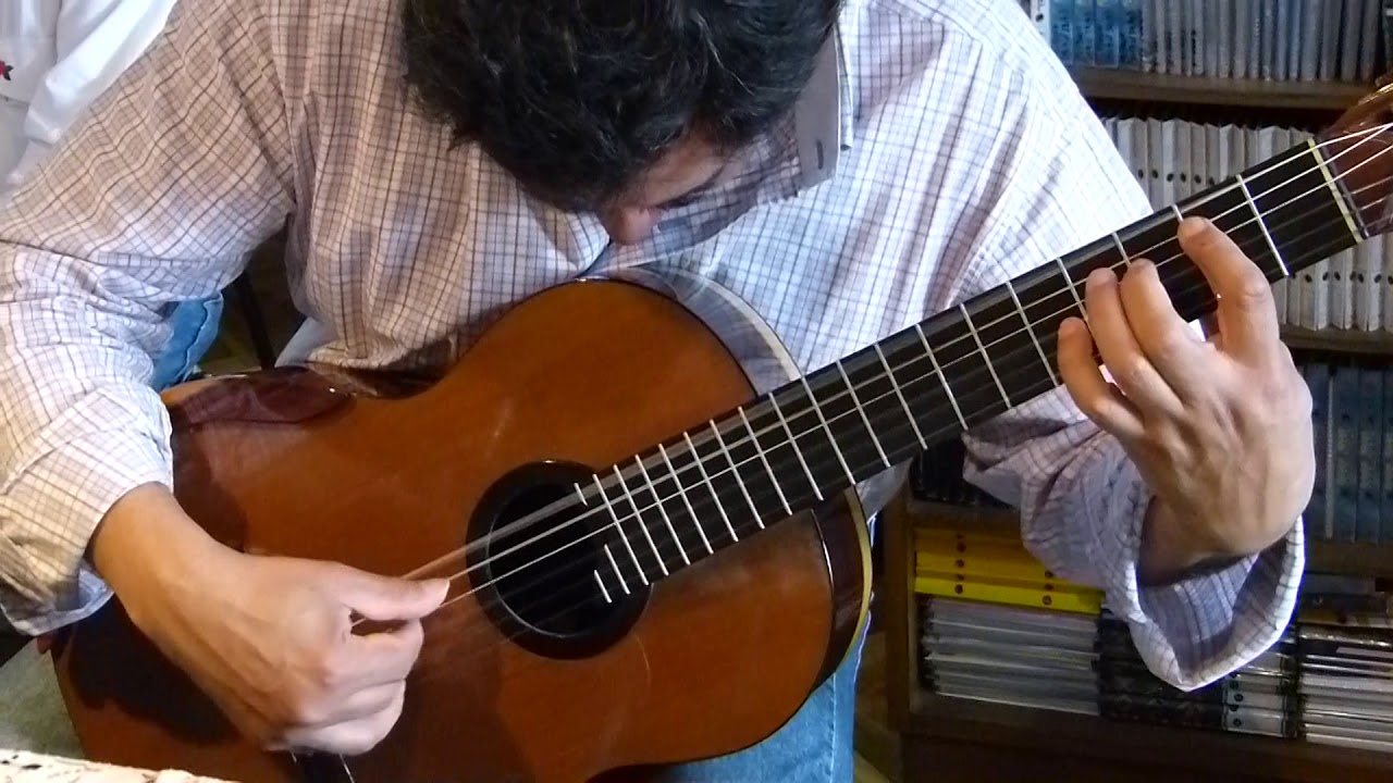 CARLOS MARTÍNEZ: Cruz del Sur (malambo) Atahualpa Yupanqui - 00073