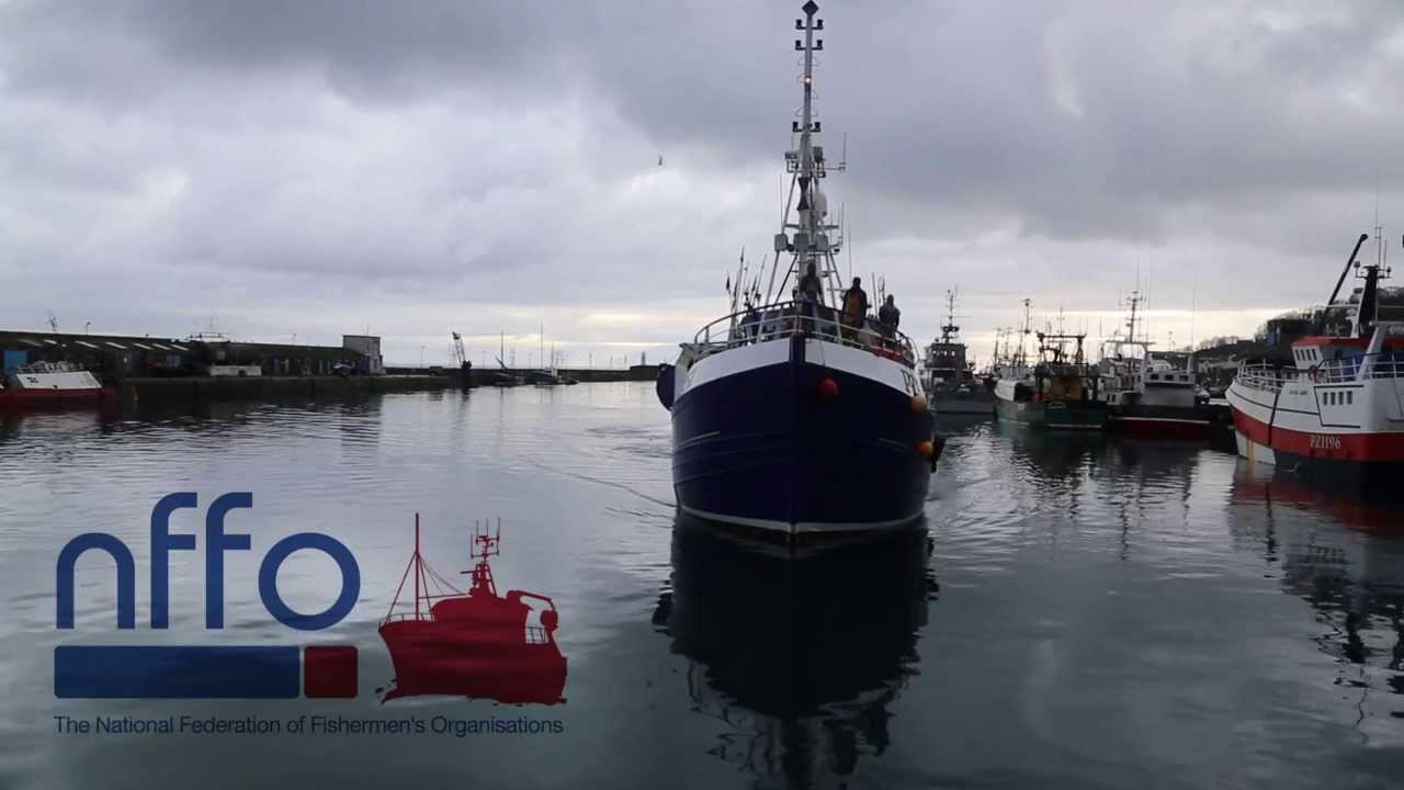 Net Gain - Why hake is currently the UK's most sustainable fish