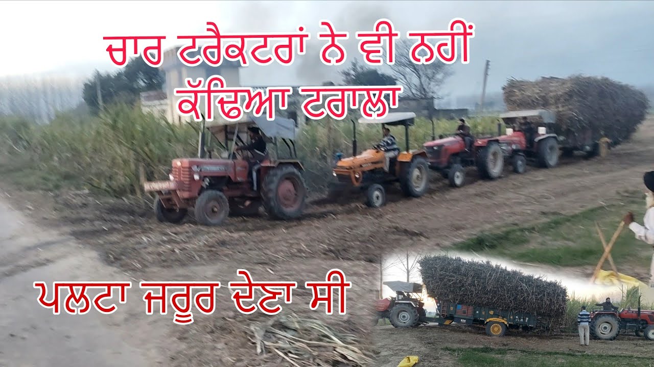 ਚਾਰ ਟਰੈਕਟਰਾਂ ਨੇ ਵੀ ਨਹੀਂ ਕੱਢਿਆ ਟਰਾਲਾ/ਅਖੀਰ ਵਿੱਚ ਜੱਗੇ ਵਾਲ਼ਾ ਟਰੈਕਟਰ ਬਲਾਉਣਾ ਹੀ ਪਿਆ/@Bindermahal 