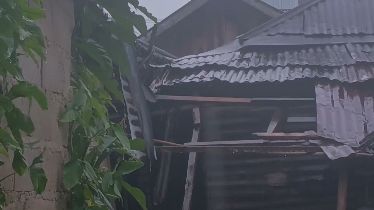 Heavy Rain Sounds on Tin Roof with Distant Thunder