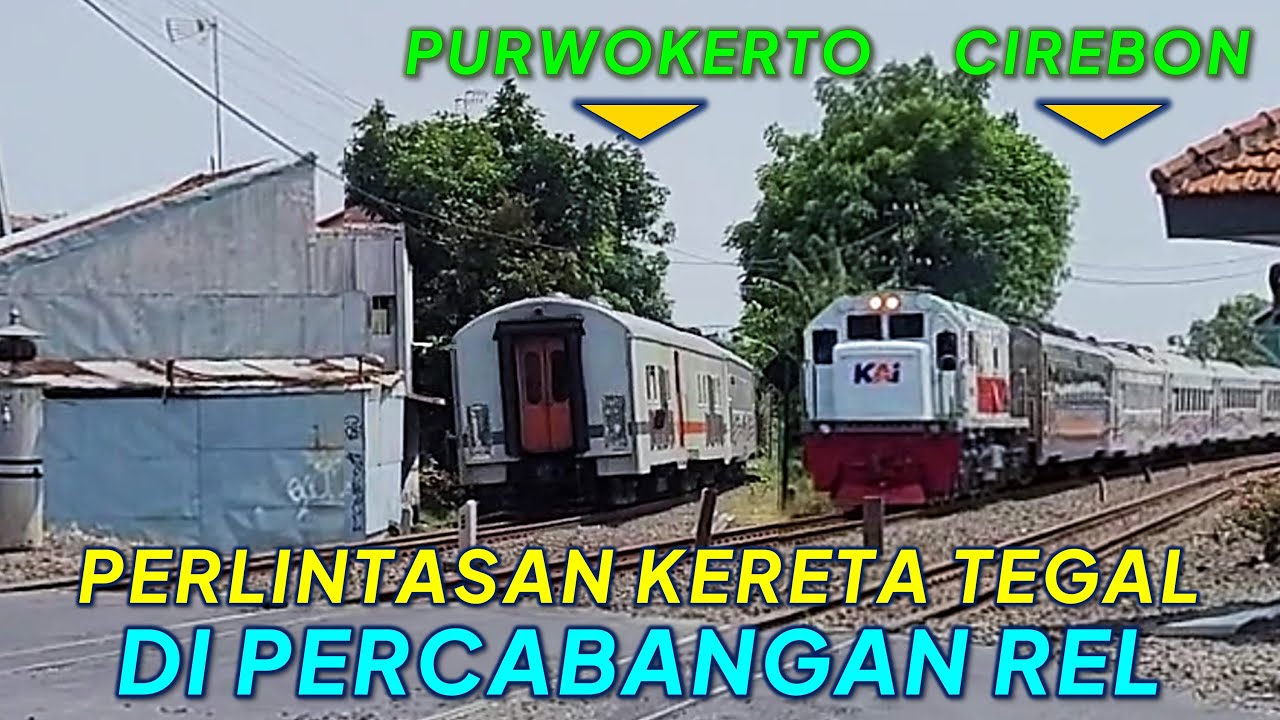 PERLINTASAN KERETA PERCABANGAN! Kereta Api di JPL 215 TEGAL: Argo Anggrek, Tegal Bahari, Kamandaka