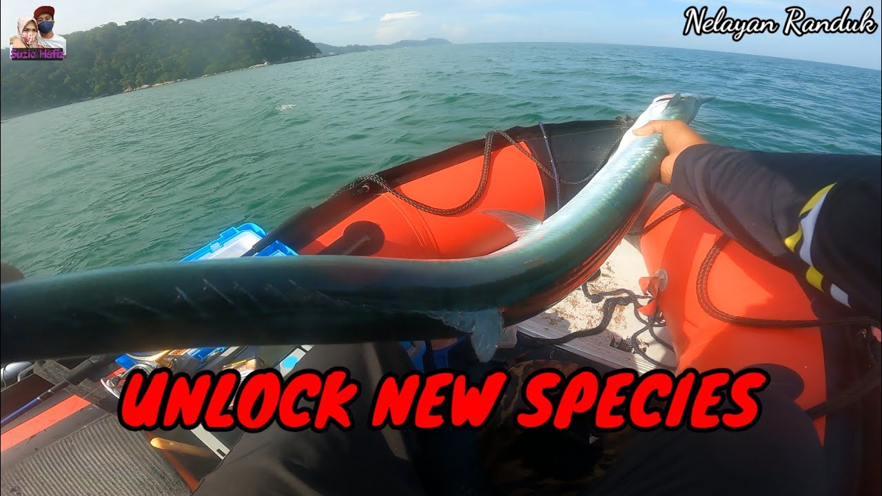 VLOG160 - STRIKE IKAN TODAK SAIZ PURBA