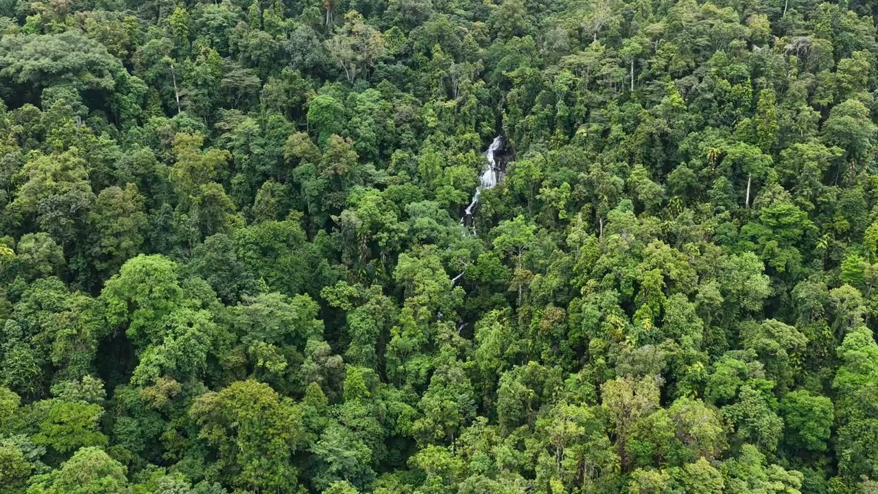 The beautiful Beatrice Palmerston region 😍 Wooroonooran NP FNQ