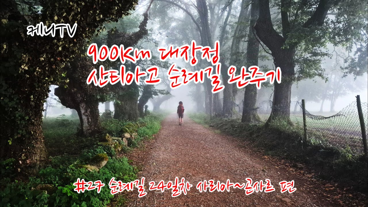 900Km 대장정 산티아고 순례길 완주기 #27 순례길 24일차 사리아~곤사르 편