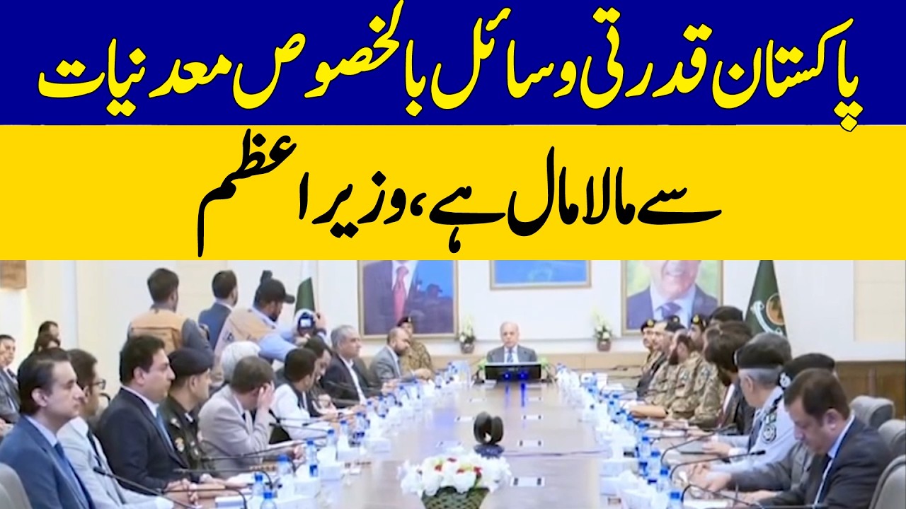 Pakistan Is Rich in Natural Resources, Especially Minerals | PM Shehbaz Sharif | Dawn News