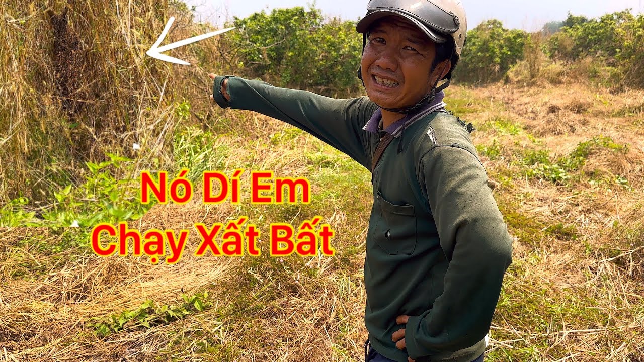 VƯỢT DẶM ĐƯỜNG XA GIÚP NGUỜI DÂN CHINH PHỤC NHIỀU TỔ ONG TRONG VƯỜN NHÃN