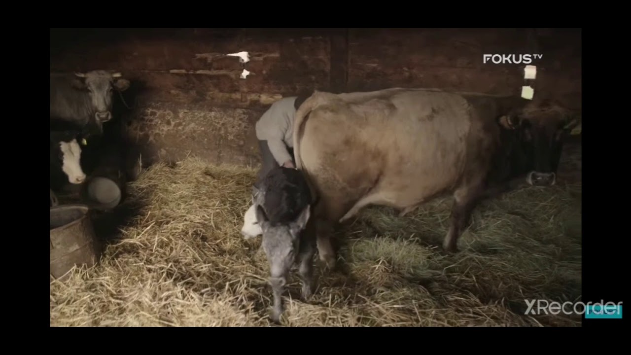 Gienek i Andrzej co sprzedać???
