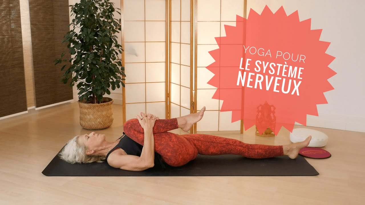 🧘 Cours de yoga - Equilibre du système nerveux